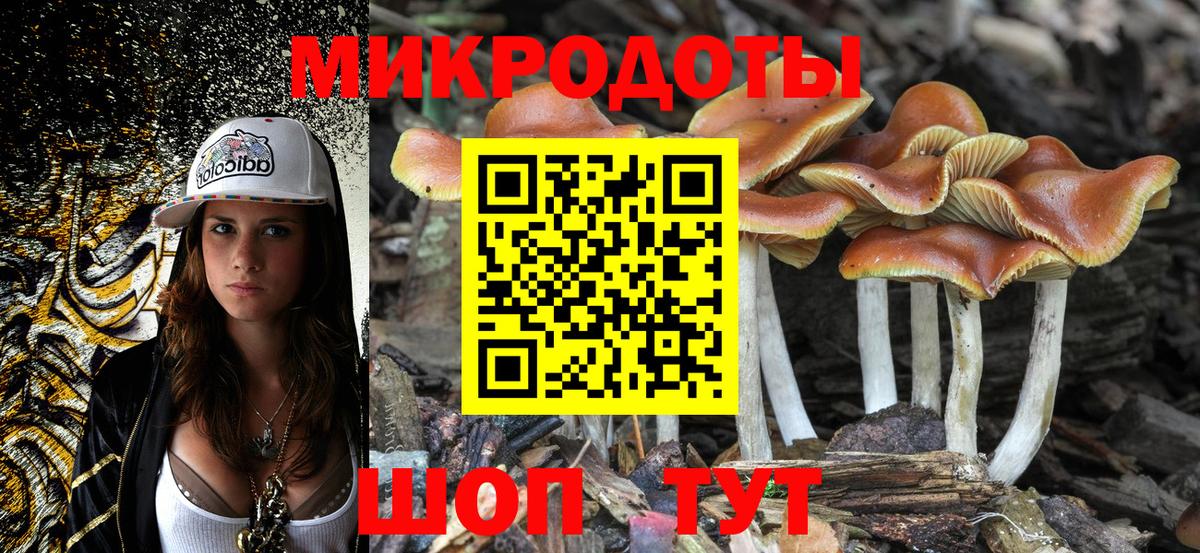 Сокол  Галлюциногенные грибы MAGIC MUSHROOMS  Вход с VPN 