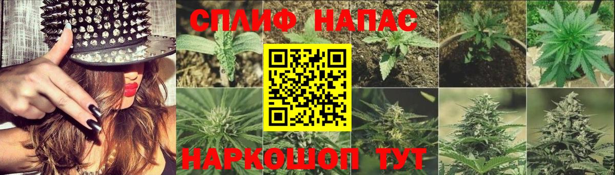 Сокол  Шишки марихуана LSD WEED  Конопля AK-47  Вход с VPN  Бошки Шишки индика 
